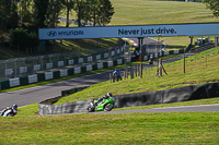 Advanced Group Green Bikes